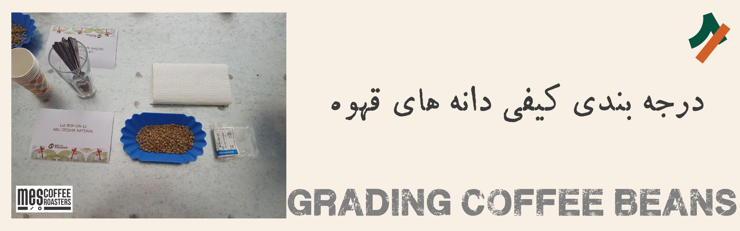 درجه بندی کیفی دانههای قهوه چیست