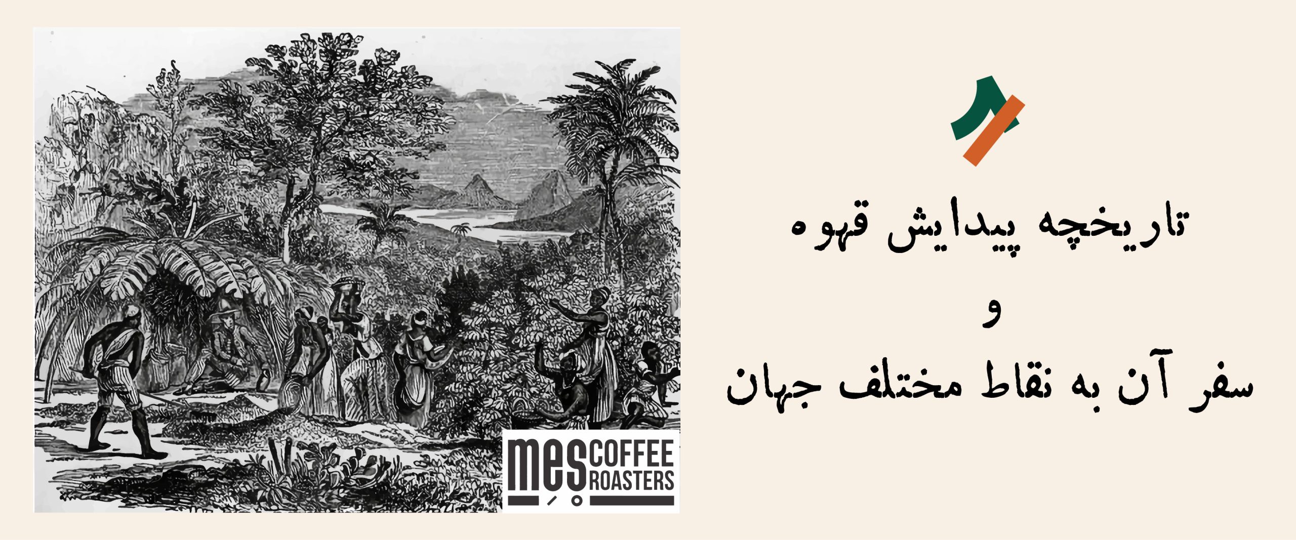 تاریخچه پیدایش قهوه و سفر آن به نقاط مختلف جهان