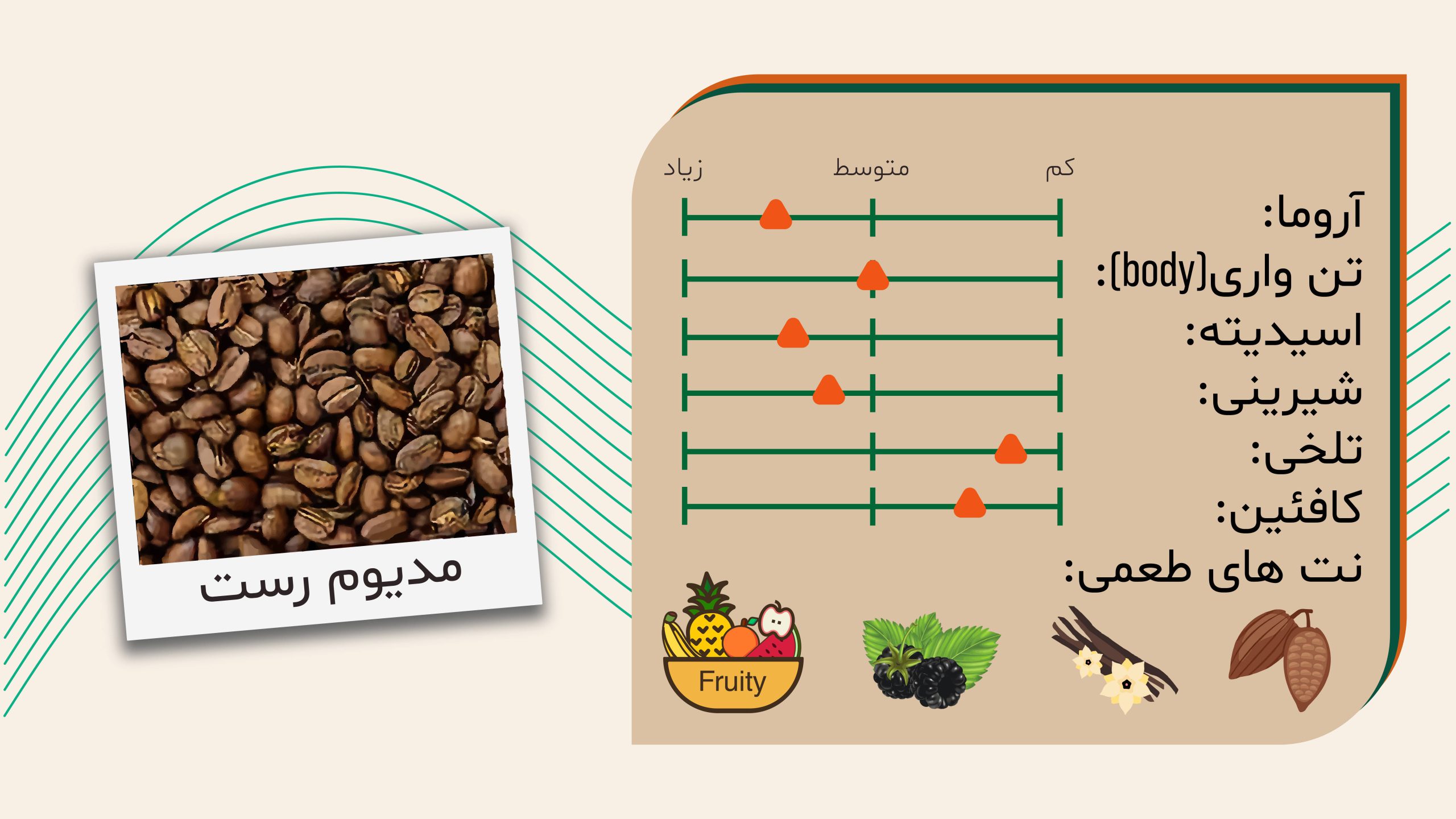 قهوه اسپشیالتی اتیوپی bale mountain برشته کاری قهوه مص
