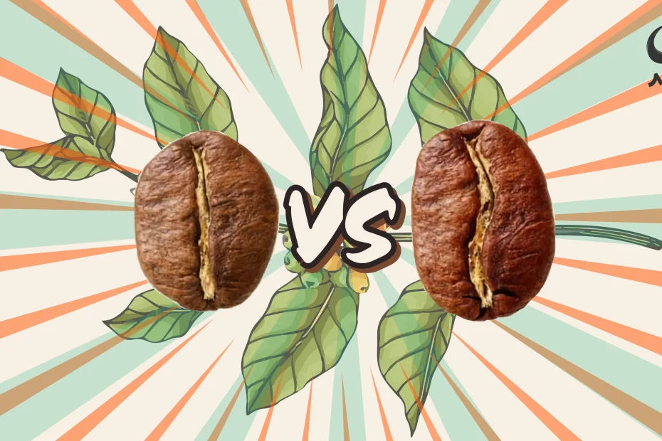 تفاوت های عربیکا و روبوستا