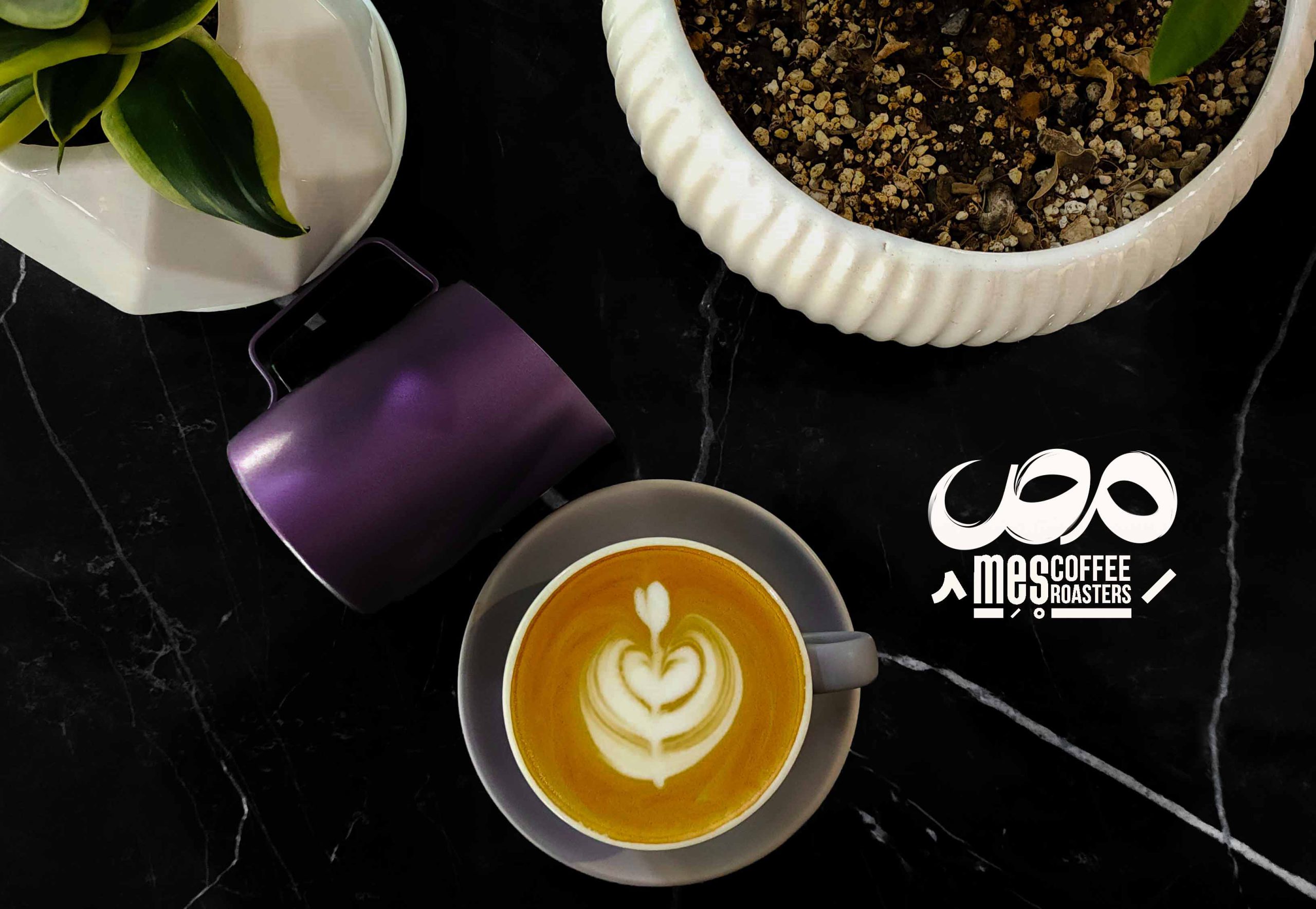 لاته، پیچر بنفش در کافه-اسپرسو با شیر