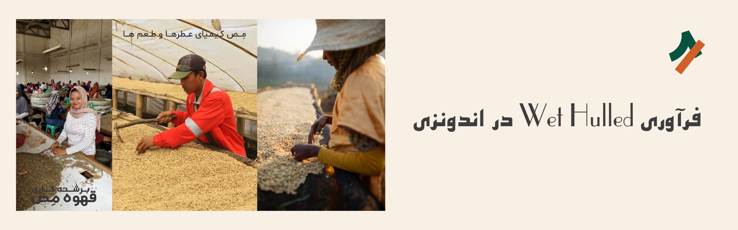 فرآوری وت هالد قهوه در اندونزی