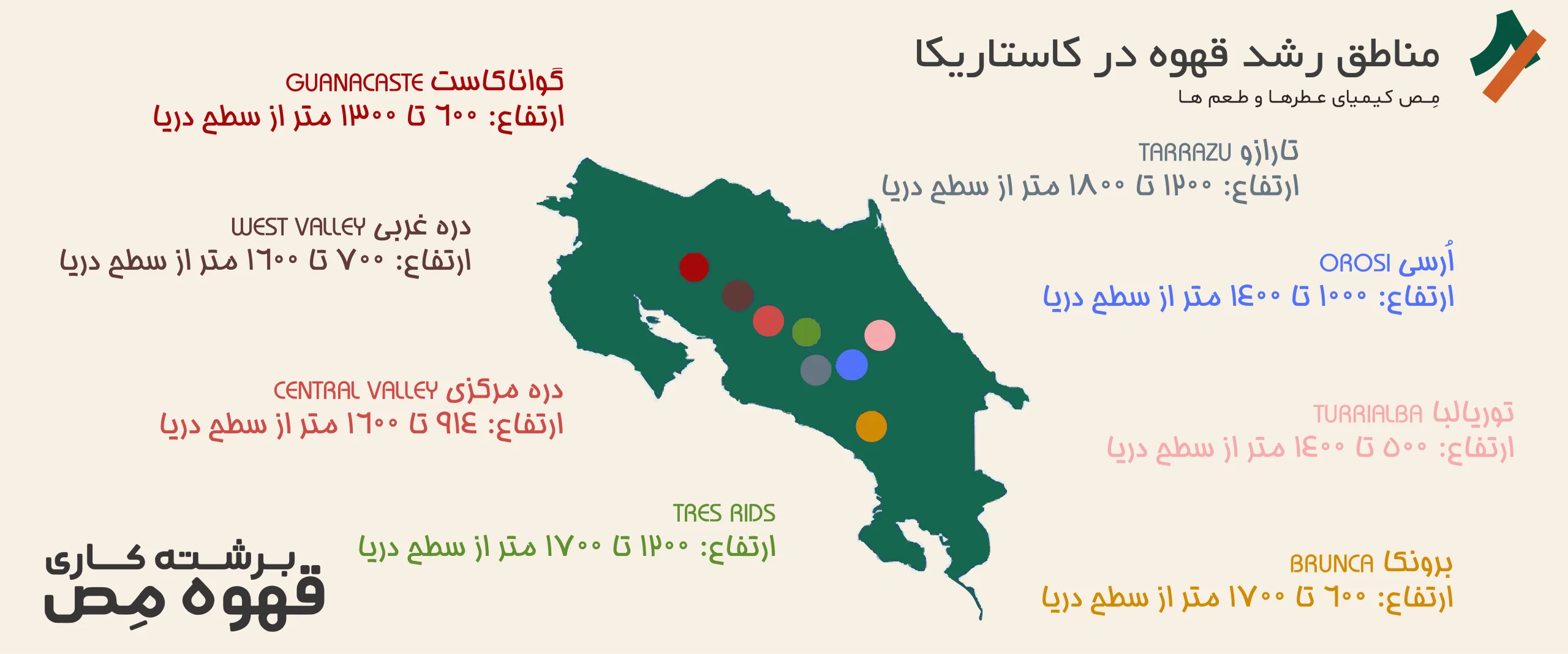 مناطق رشد قهوه در کاستاریکا