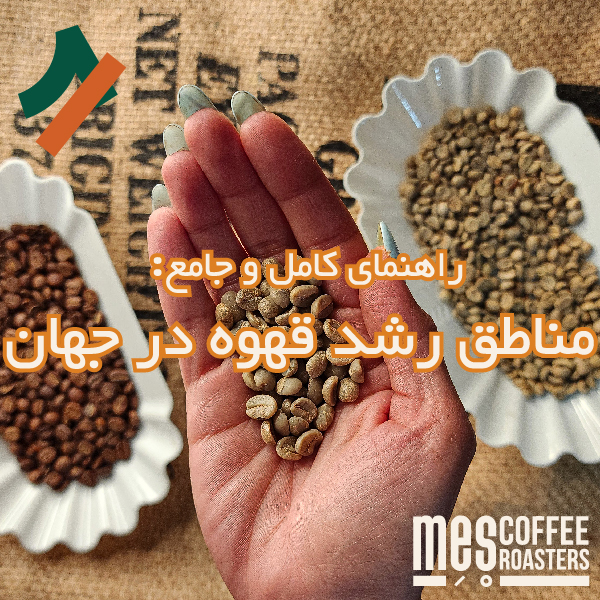 مناطق رشد قهوه در جهان: یک راهنمای کامل و جامع | برشته کاری مص