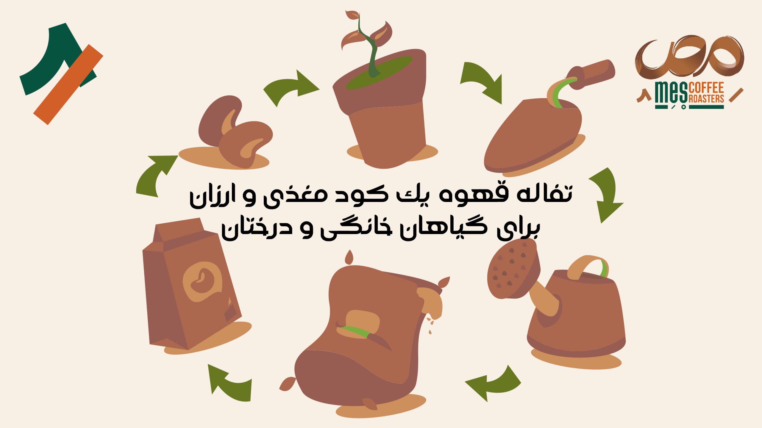 تفاله قهوه کود طبیعی و غنی از مواد معدنی مناسب برای گیاهان خانگی و درختان