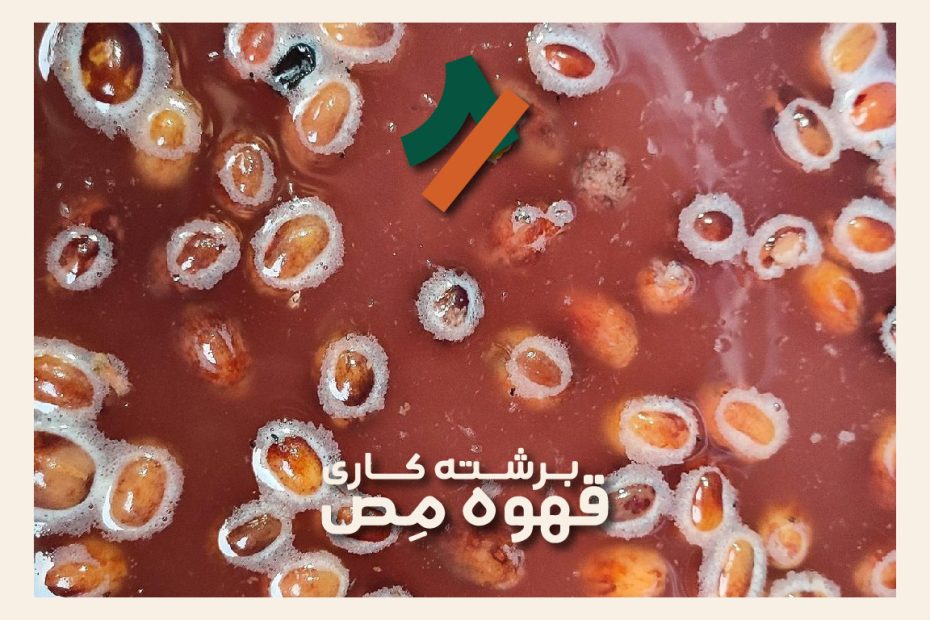 دانه‌های قهوه در مرحله خیساندن در فرآوری انروبیک و ایجاد پروفایل طعمی فانکی