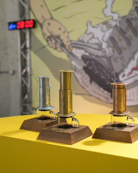 مسابقات جهانی ایروپرس 2016-عکس شرکت کننده موجود نیست.