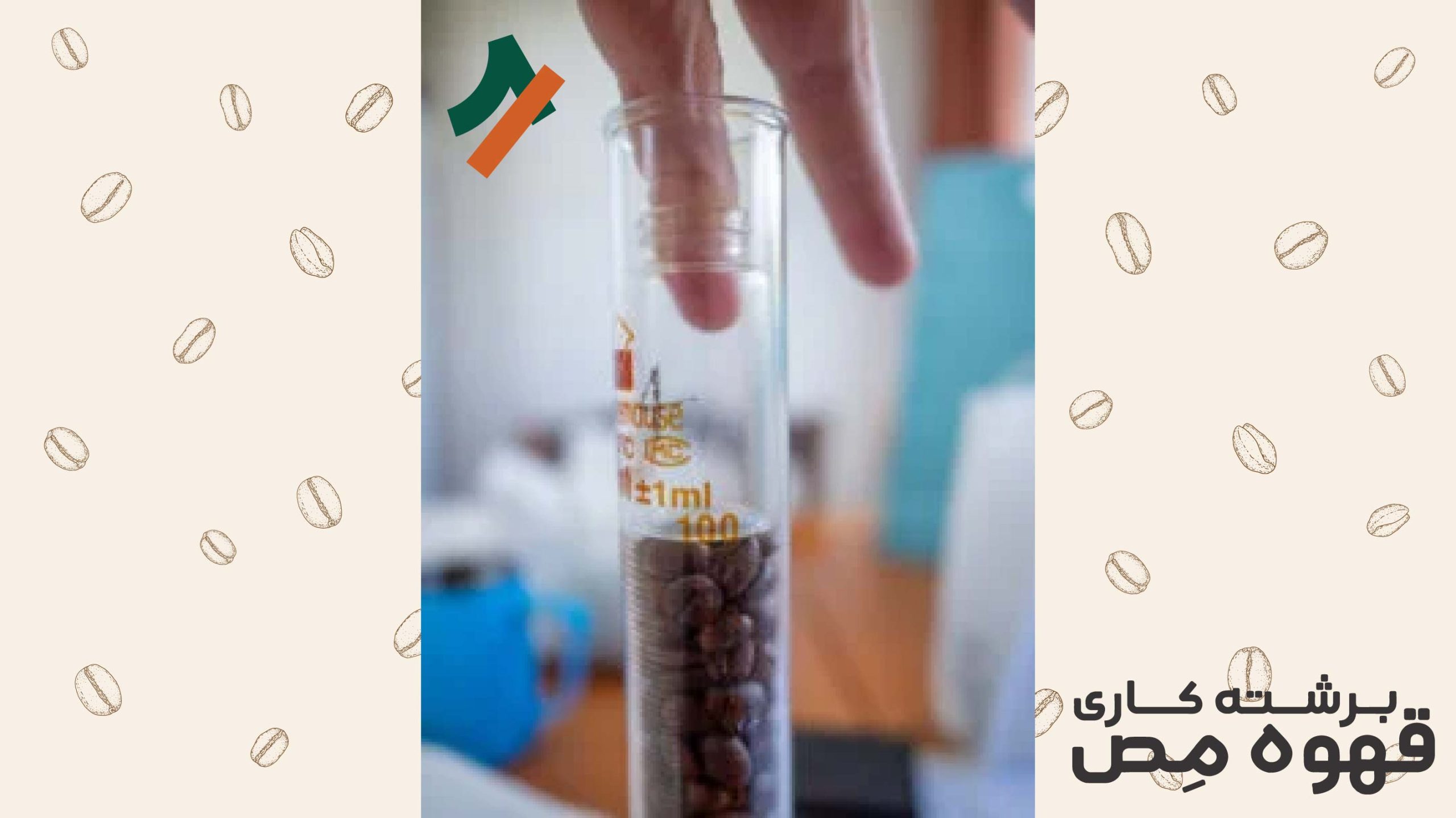 مرحله دوم سنجش چگالی قهوه-صاف کردن سطح دانه ها