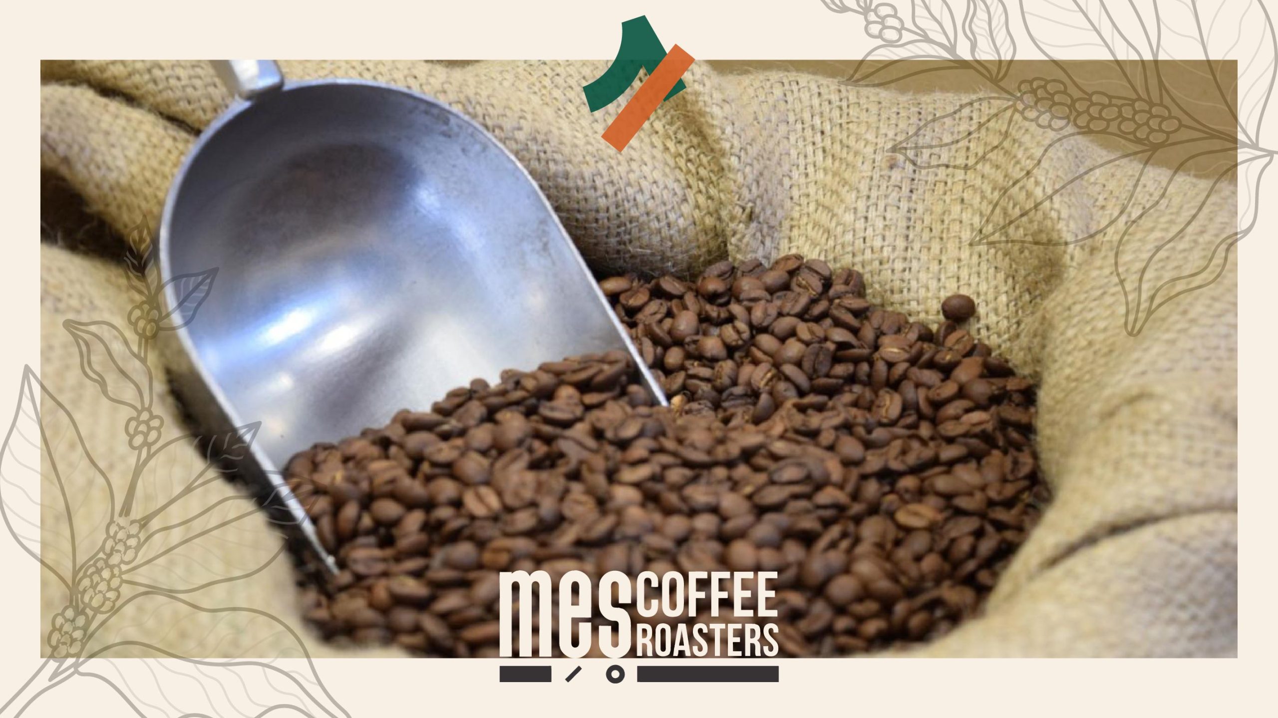 مفاهیم قهوه تک خاستگاه، تک مزرعه، میکرو/نانو لات