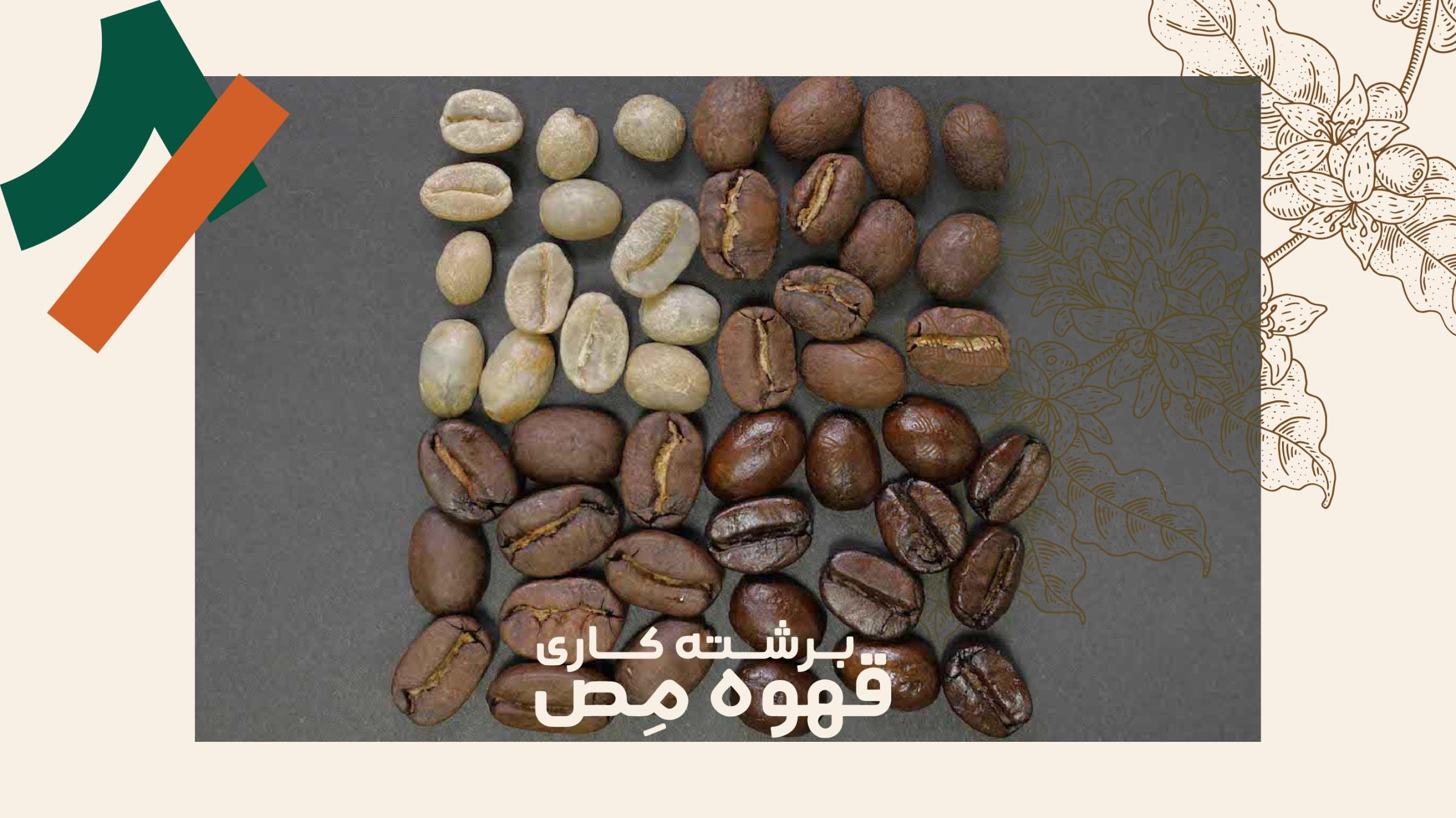 چگالی دانه قهوه چیست؟