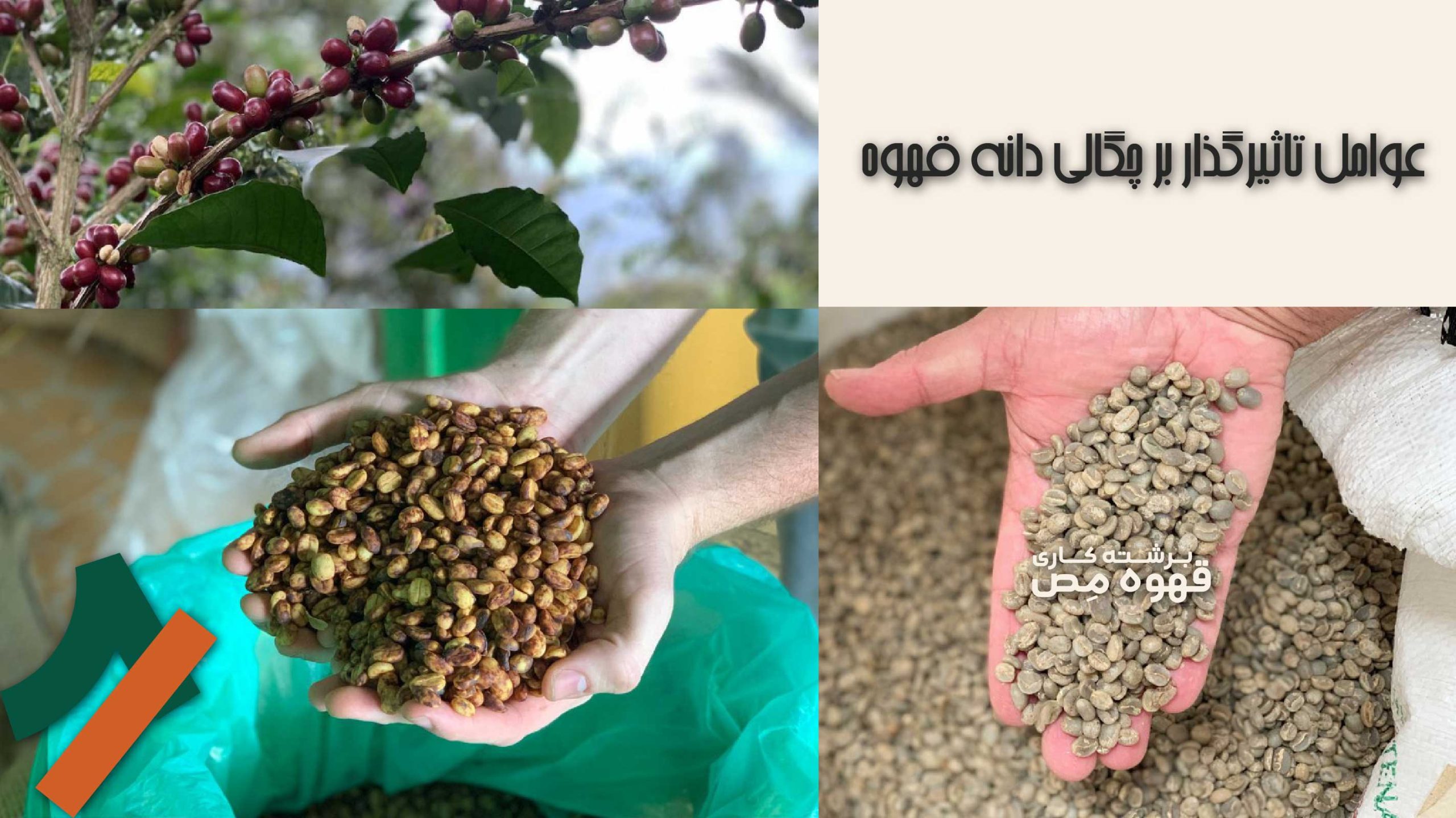 چه عواملی بر روی چگالی قهوه تاثیرگذارند؟