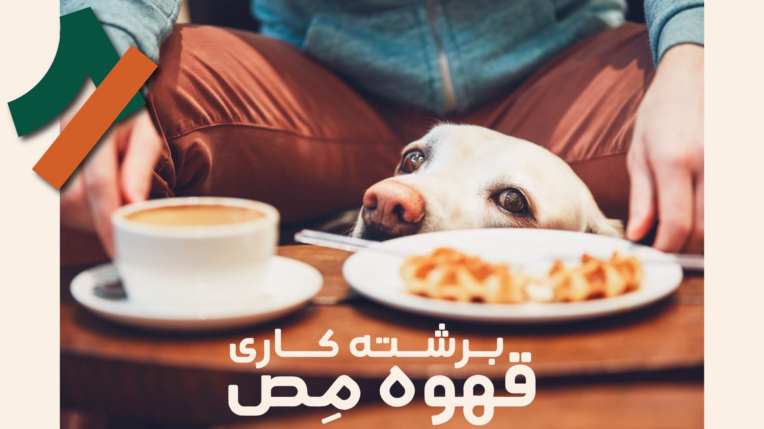 آیا قهوه برای سگ ها بده؟