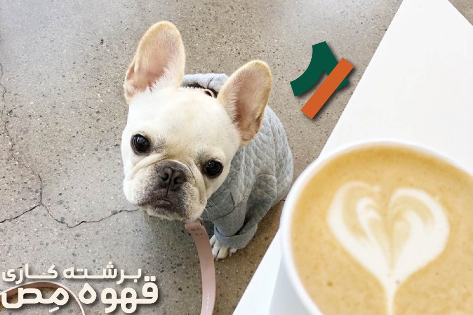 آیا قهوه برای شگ ها مضره؟ علائم مسمویت با کافئین در سگ را بشناسید