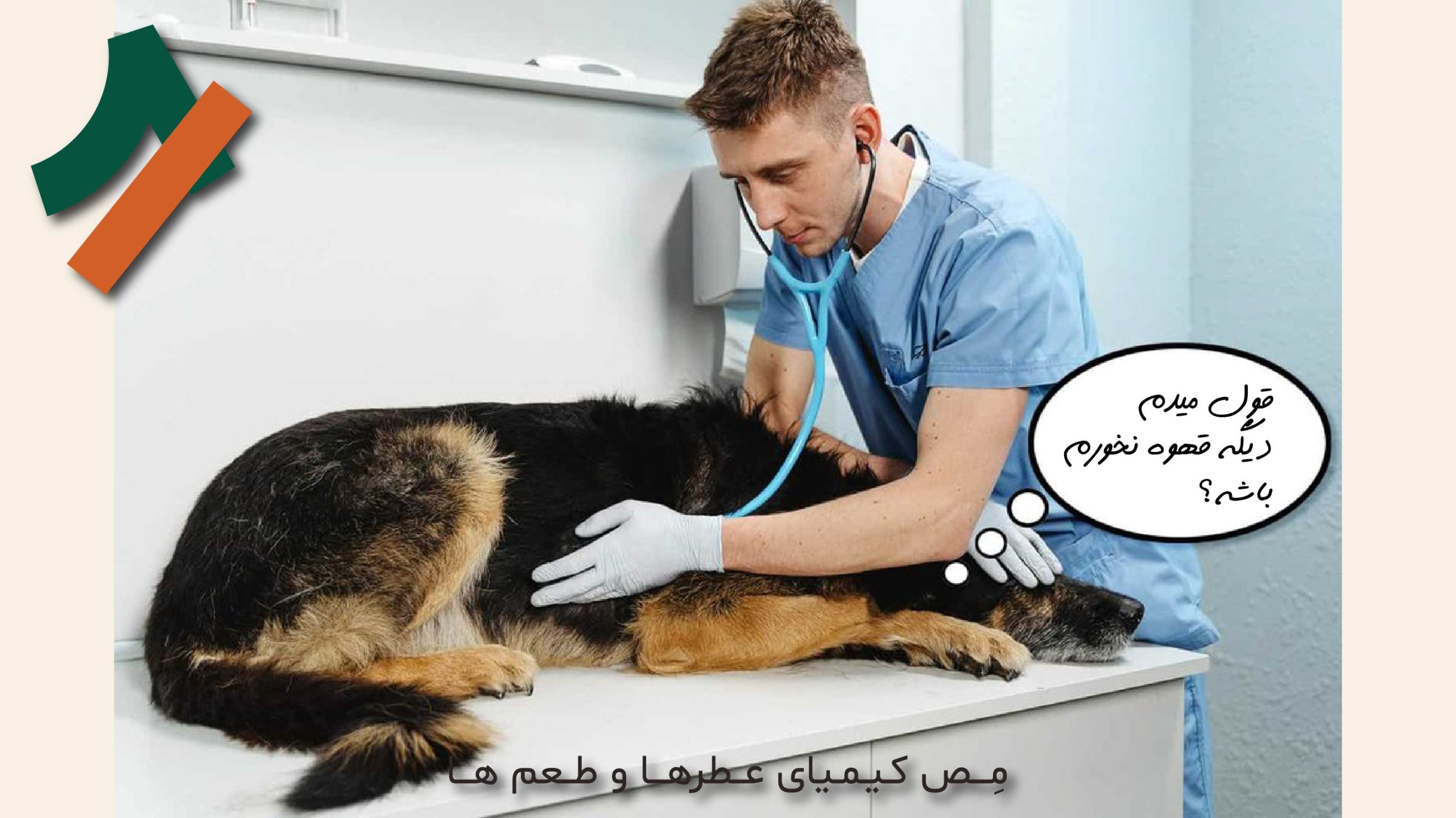 علائم مسمومیت با کافئین در سگ ها