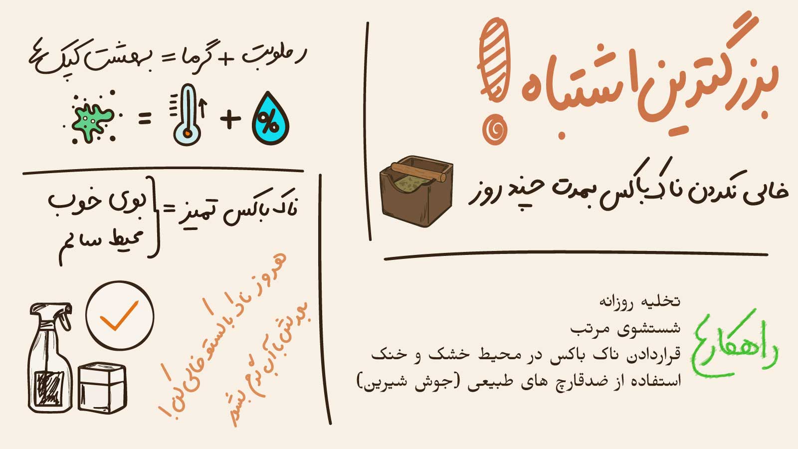چگونه از کپک زدن قهوه در داخل ناک باکس جلوگیری کنیم؟